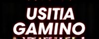 usa online gambling